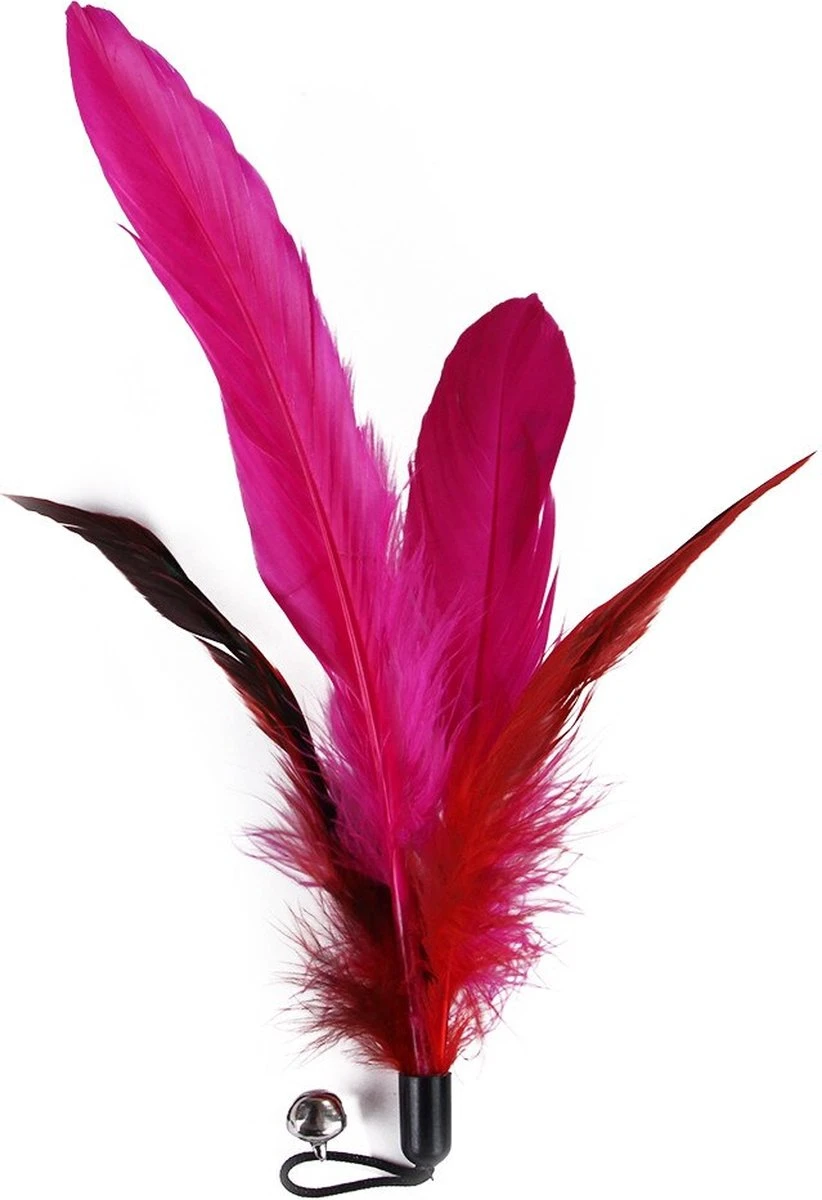 Merkloos Kattenhengel Met 10 Opzetstukjes - Kat Speelhengel Met Veren - Speelgoed Hengel Voor Katten – Kittenspeeltjes Met Veer – Kattenspeelgoed – Katten Speeltjes 4 Merkloos Kattenhengel Met 10 Opzetstukjes - Kat Speelhengel Met Veren - Speelgoed Hengel Voor Katten – Kittenspeeltjes Met Veer – Kattenspeelgoed – Katten Speeltjes - Afbeelding 2