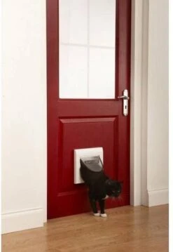 Petsafe 919 Classic - Wit - Kattenluik - 22,4 X 22,4 X 22,4 Cm 23 Petsafe 919 Classic - Wit - Kattenluik - 22,4 X 22,4 X 22,4 Cm -Kattenproducten 826x1200 4