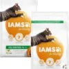 Iams Cat Adult Kip - Kattenvoer - 2 X 3 Kg -Kattenproducten 866x1200 1