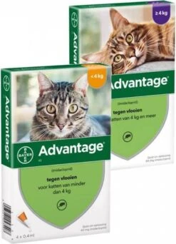 Bayer Anti Vlooienmiddel Advantage 80 > 4 Kg - 4 X 0,8 Ml 34 Bayer Anti Vlooienmiddel Advantage 80 > 4 Kg - 4 X 0,8 Ml -Kattenproducten 866x1200 4