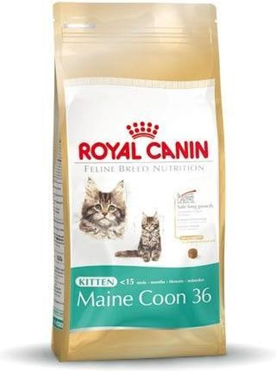 Royal Canin Maine Coon Kitten - Kattenvoer - 4 Kg 13 Royal Canin Maine Coon Kitten - Kattenvoer - 4 Kg - Afbeelding 11