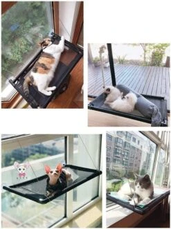 Kattenhangmat - Hangmat Kat- Kattenhangmat Raam – Kattenbed - Kattenhangmand - Kattenkussen 28 Kattenhangmat - Hangmat Kat- Kattenhangmat Raam – Kattenbed - Kattenhangmand - Kattenkussen -Kattenproducten 896x1200 1