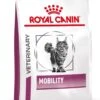 Royal Canin Mobility - Kattenvoer - 2 Kg 2 Royal Canin Mobility - Kattenvoer - 2 Kg -Kattenproducten 897x1200