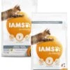 Iams Cat Adult Indoor - Kattenvoer - 2 X Kip 3 Kg -Kattenproducten 899x1200 1