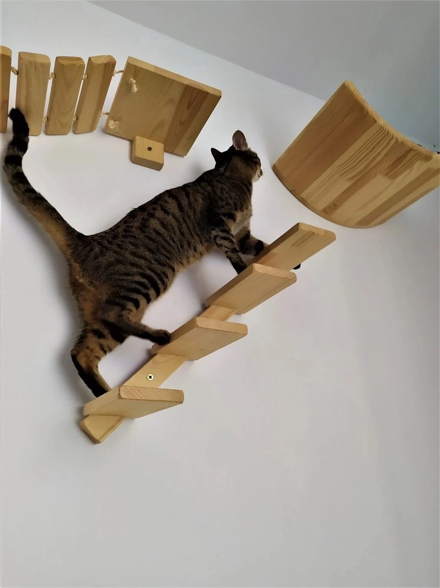 Kattentrap Hout - Linksonder Naar Rechtsboven - Handgemaakte Kattenladder - Katten Klimmuur Klimwand 4 Kattentrap Hout - Linksonder Naar Rechtsboven - Handgemaakte Kattenladder - Katten Klimmuur Klimwand - Afbeelding 2