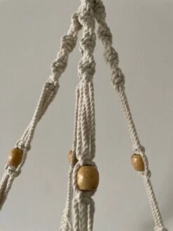 Voorkant -Kattenproducten 899x1200 12