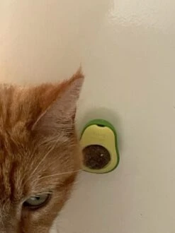 PerfectPlant - Kattenbal - Catnipbal - Avocado - Natuurlijk - Katten - Speelgoed - Catnip - Haarbal - Likken - Mint - Bal - Spelen - Slechte Adem 7 PerfectPlant - Kattenbal - Catnipbal - Avocado - Natuurlijk - Katten - Speelgoed - Catnip - Haarbal - Likken - Mint - Bal - Spelen - Slechte Adem -Kattenproducten 899x1200 8