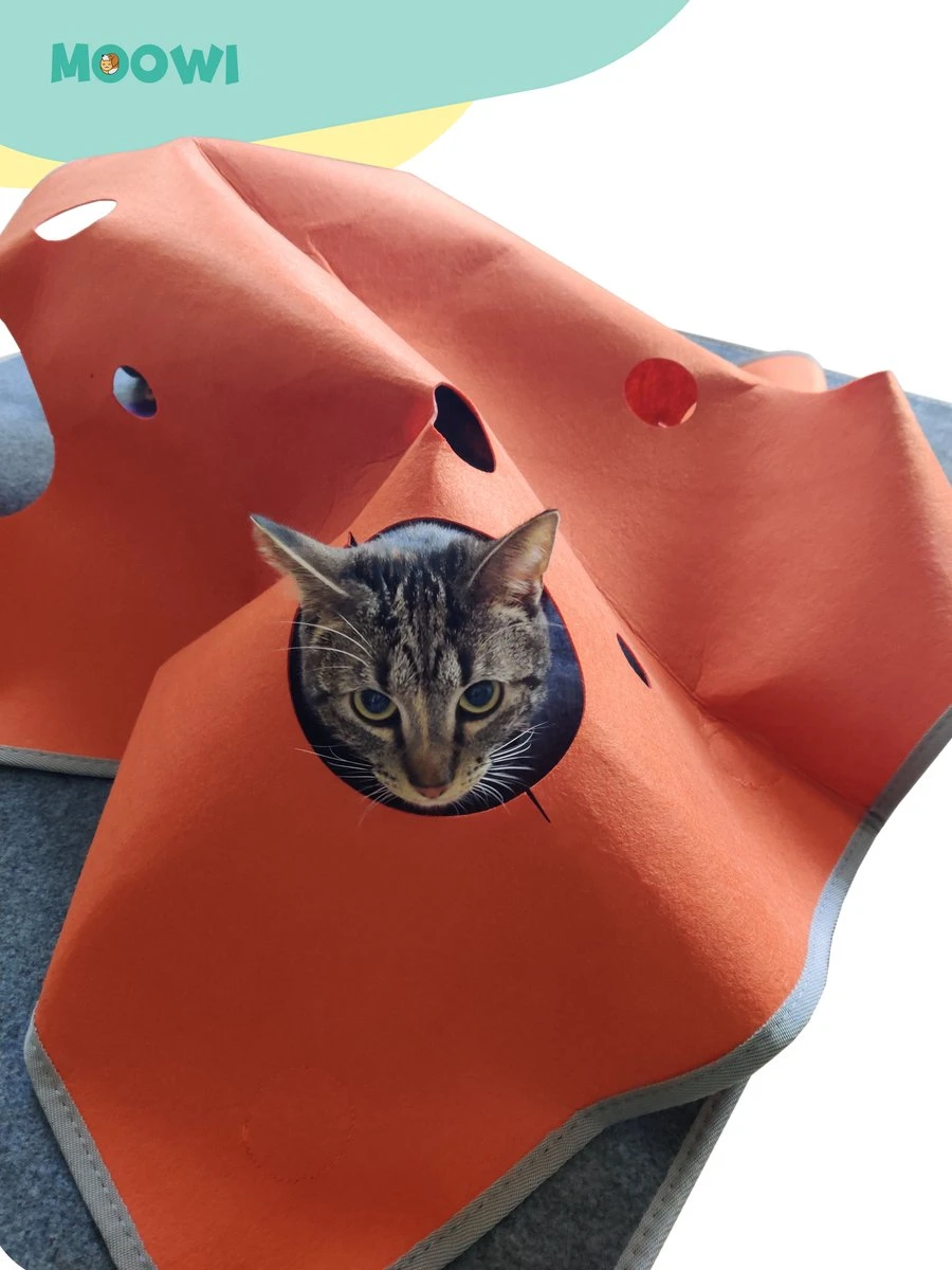 Moowi - Katten Speel Kleed – Kattentunnel – Hide And Seek Spel – Deken Kat – Kattenspeelgoed – Speelmat Katten Grijs – Incl. 2 Sisal Ballen En Verenspeeltje 7 Moowi - Katten Speel Kleed – Kattentunnel – Hide And Seek Spel – Deken Kat – Kattenspeelgoed – Speelmat Katten Grijs – Incl. 2 Sisal Ballen En Verenspeeltje - Afbeelding 5