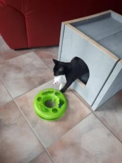 Bronneger Exclusive - Kattenhuis - XXL - Kattenbak Ombouw Kast - Kattenmand 22 Bronneger Exclusive - Kattenhuis - XXL - Kattenbak Ombouw Kast - Kattenmand -Kattenproducten 900x1200 29