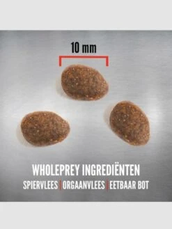 Orijen Regional Red Cat - Kattenvoer - 5.4 Kg 25 Orijen Regional Red Cat - Kattenvoer - 5.4 Kg -Kattenproducten 900x1200 3