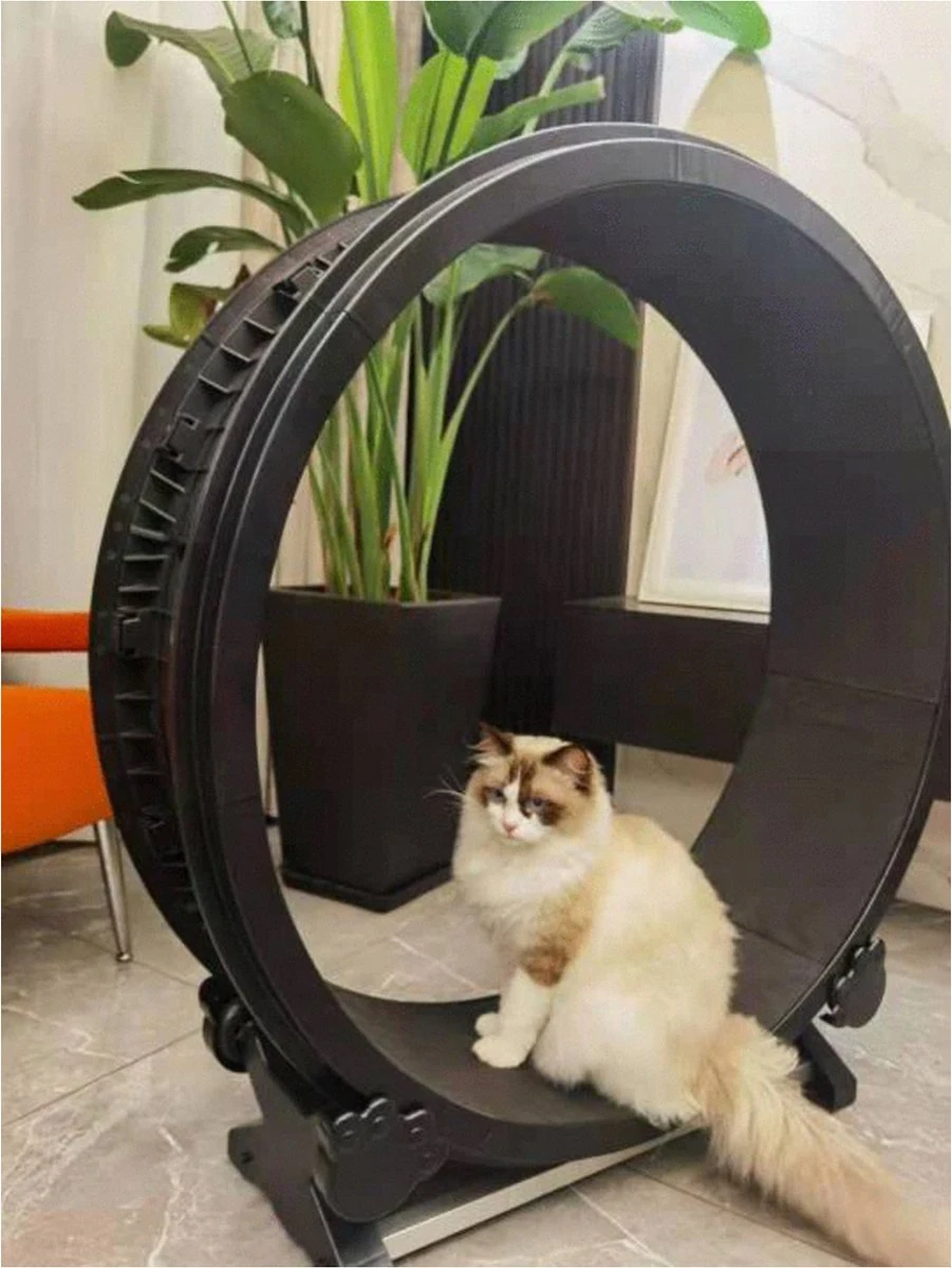 Merkloos Petlux - Looprad / Loopwiel Voor Kat - Kattenspeelgoed - 7 Merkloos Petlux - Looprad / Loopwiel Voor Kat - Kattenspeelgoed - - Afbeelding 5