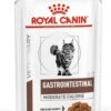 Royal Canin Gastro Intestinal Moderate Calorie Kat 12x85 Gr. -Kattenproducten 903x1200
