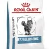 Royal Canin Veterinary Diet Cat Anallergenic - Kattenvoer - 2 Kg 2 Royal Canin Veterinary Diet Cat Anallergenic - Kattenvoer - 2 Kg -Kattenproducten 909x1200 1