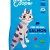 Edgard & Cooper Kattenvoer Adult Zalm 4 Kg -Kattenproducten 932x1200