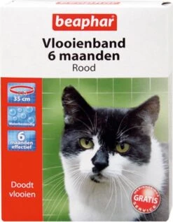 Beaphar Vlooienband Kat - Rood - 1 Stuk 20 Beaphar Vlooienband Kat - Rood - 1 Stuk -Kattenproducten 934x1200 1