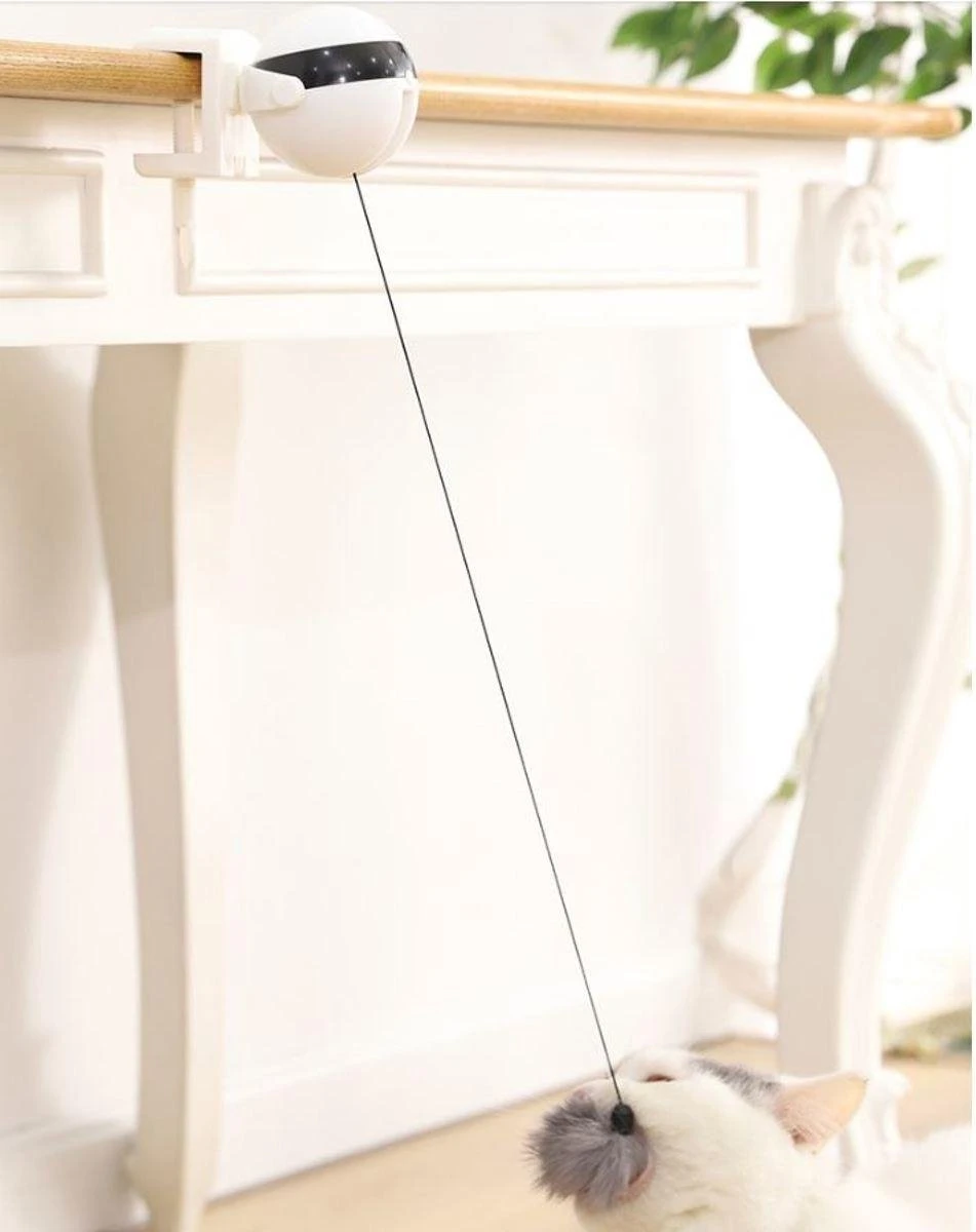 Merkloos Kattenspeelgoed - Katten Speelgoed - Katten Speeltje - Katten Bal - Katten - Kattenhengel - Kitten Speelgoed - Kattenspeeltjes - Elektrische - Muis - Automatische Hengel - Bal - Poes - Katten - Prooi - Kat - Poesjes - Interactief Kattenspeelgoed 7 Merkloos Kattenspeelgoed - Katten Speelgoed - Katten Speeltje - Katten Bal - Katten - Kattenhengel - Kitten Speelgoed - Kattenspeeltjes - Elektrische - Muis - Automatische Hengel - Bal - Poes - Katten - Prooi - Kat - Poesjes - Interactief Kattenspeelgoed - Afbeelding 5