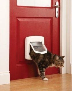 Petsafe Kattenluik 400 - Wit 32 Petsafe Kattenluik 400 - Wit -Kattenproducten 955x1200