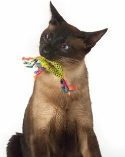 Petstages Dental Health Chew Kattenspeelgoed - Catnip -Kattenproducten 960x1200 1