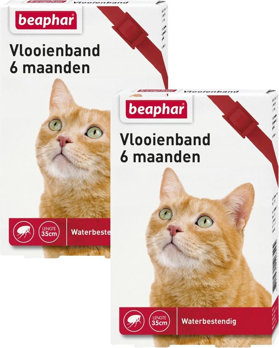 Beaphar Vlooienband 6 Maanden Kat 35 Cm - Anti Vlooienmiddel - 2 X Rood 4 Beaphar Vlooienband 6 Maanden Kat 35 Cm - Anti Vlooienmiddel - 2 X Rood - Afbeelding 2