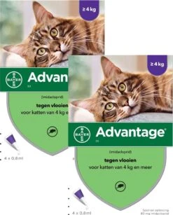 Bayer Advantage 80 Kat 4 Pip - Anti Vlooienmiddel - 2 X 0.8 Ml - > 4 Kg 7 Bayer Advantage 80 Kat 4 Pip - Anti Vlooienmiddel - 2 X 0.8 Ml - > 4 Kg -Kattenproducten 965x1200 1