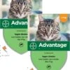 Bayer Advantage 40 Kat 4 Pip - Anti Vlooienmiddel - 2 X 0.4 Ml - 0 - 4 Kg 2 Bayer Advantage 40 Kat 4 Pip - Anti Vlooienmiddel - 2 X 0.4 Ml - 0 - 4 Kg -Kattenproducten 965x1200
