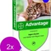Bayer Advantage 80 Kat 4 Pip - Anti Vlooienmiddel - 2 X 0.8 Ml - > 4 Kg -Kattenproducten 968x1200