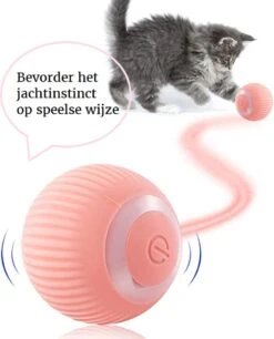 Otiume Slimme Katten Speeltje - Interactieve Zelf Rollende Bal Voor Katten - Kattenspeeltjes - USB Oplaadbaar- Turquoise 16 Otiume Slimme Katten Speeltje - Interactieve Zelf Rollende Bal Voor Katten - Kattenspeeltjes - USB Oplaadbaar- Turquoise -Kattenproducten 968x1200 3