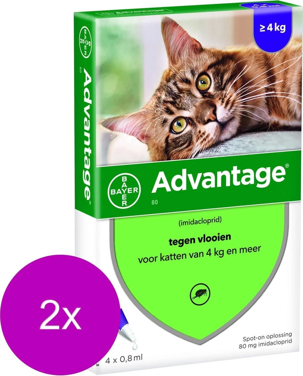 Bayer Advantage 80 Kat 4 Pip - Anti Vlooienmiddel - 2 X 0.8 Ml - > 4 Kg 3 Bayer Advantage 80 Kat 4 Pip - Anti Vlooienmiddel - 2 X 0.8 Ml - > 4 Kg