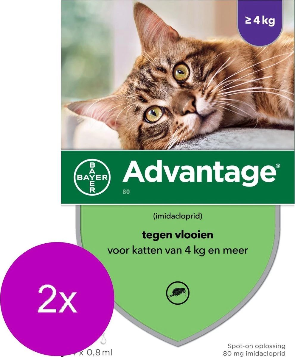 Bayer Advantage 80 Kat 4 Pip - Anti Vlooienmiddel - 2 X 0.8 Ml - > 4 Kg 4 Bayer Advantage 80 Kat 4 Pip - Anti Vlooienmiddel - 2 X 0.8 Ml - > 4 Kg - Afbeelding 2